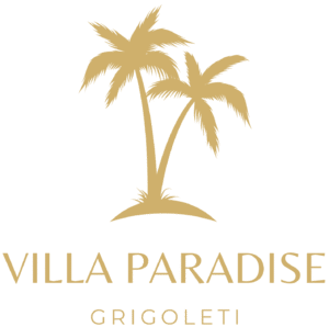 default-logo